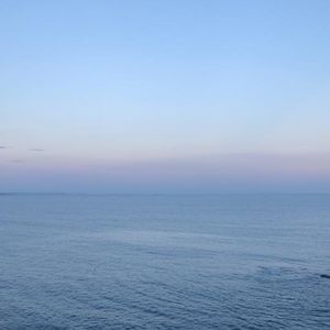 Meet your Posher, Darce